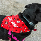 Pet Bandana - Large (2)