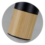 Mica Vacuum Bottle (7)
