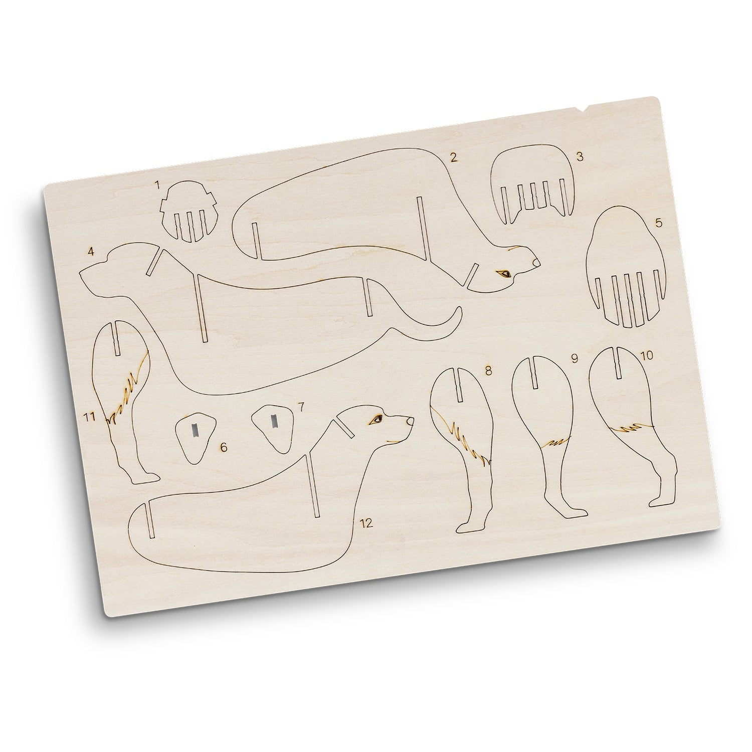 BRANDCRAFT Dog Wooden Model (8)