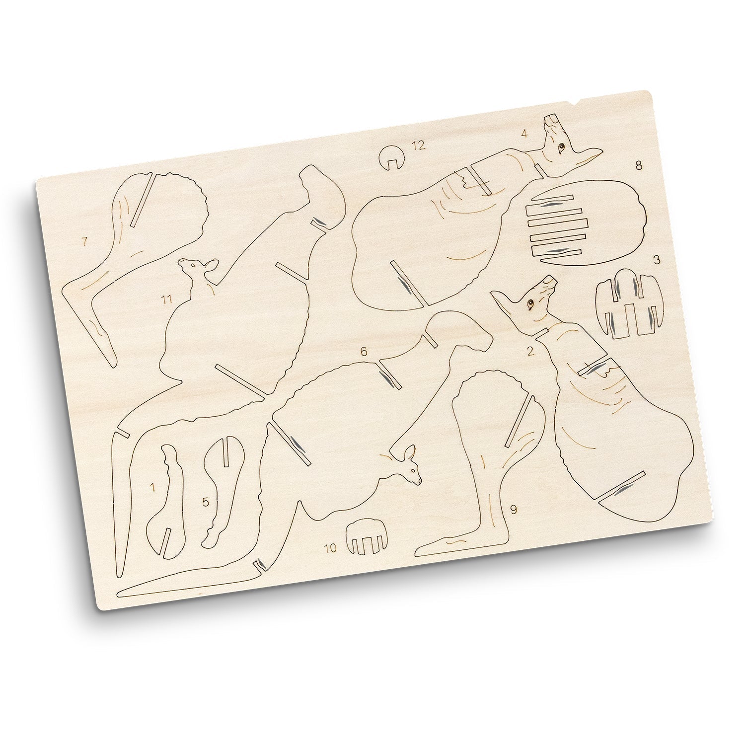BRANDCRAFT Kangaroo Wooden Model (3)