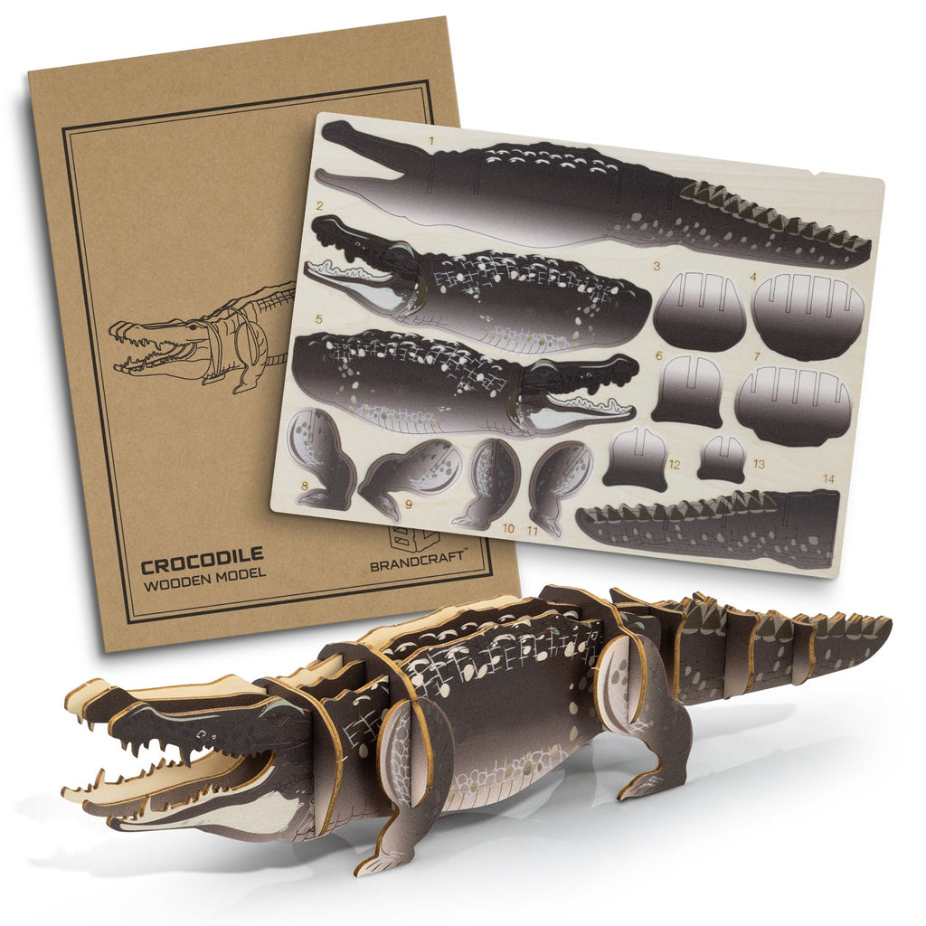 BRANDCRAFT Crocodile Wooden Model (2)