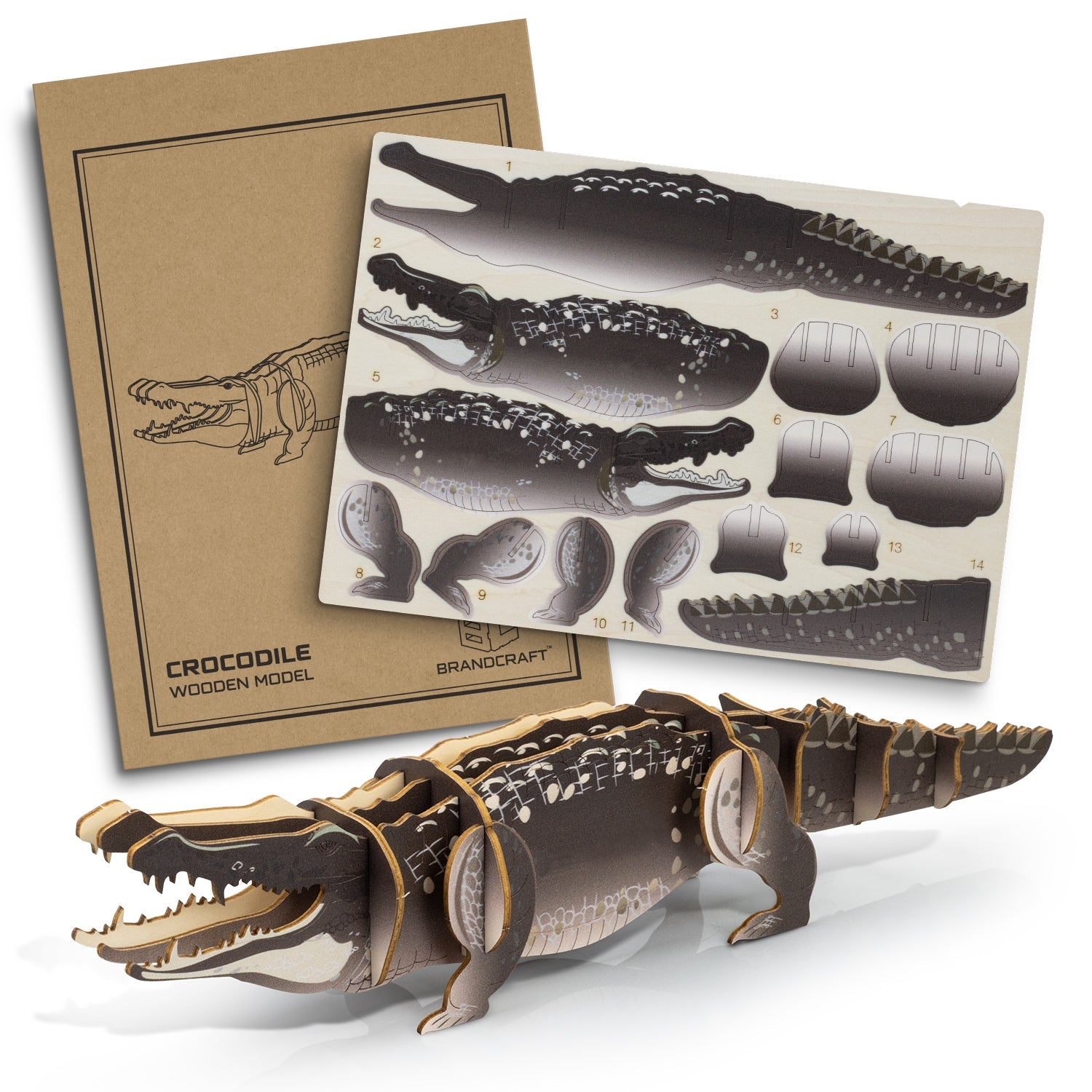 BRANDCRAFT Crocodile Wooden Model (2)