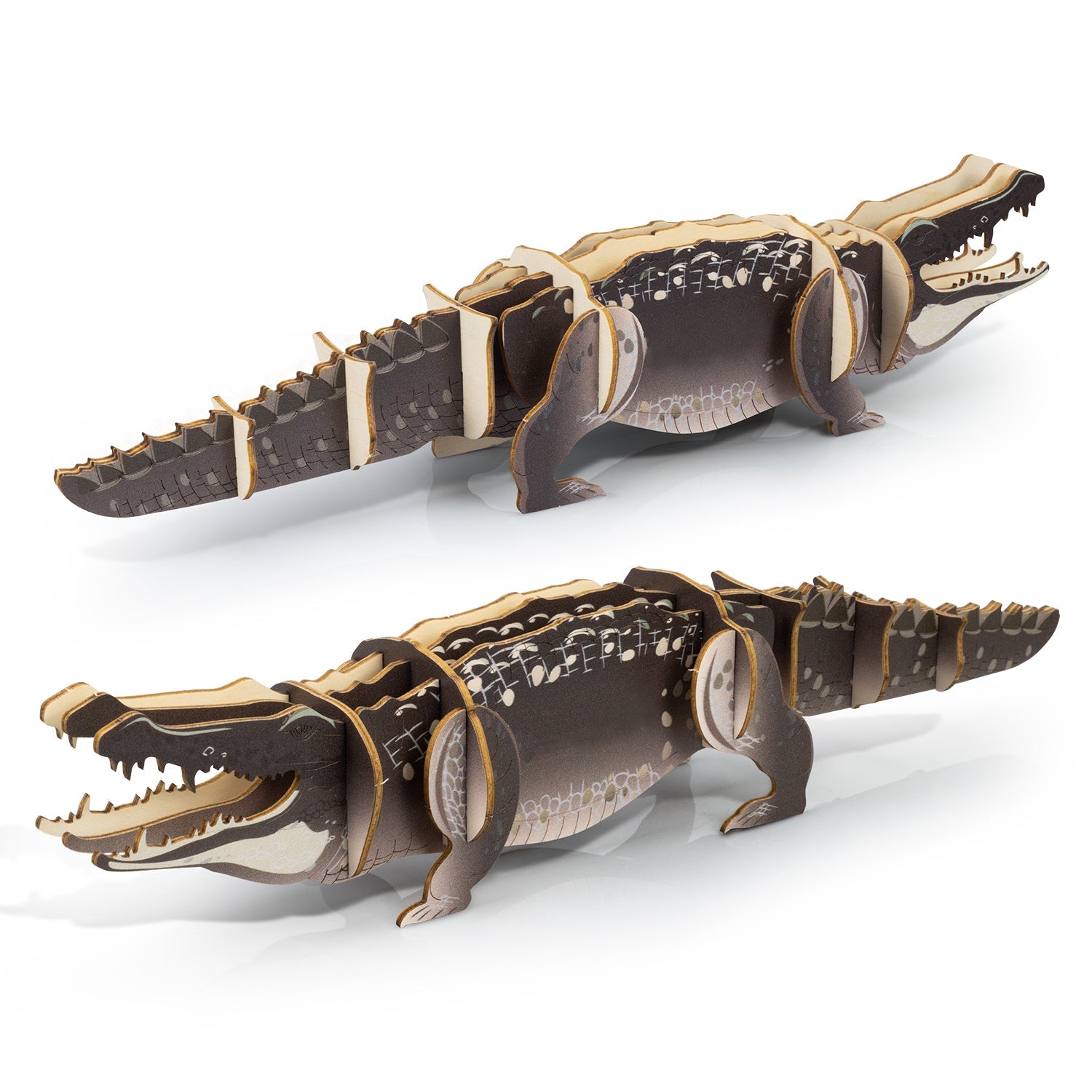 BRANDCRAFT Crocodile Wooden Model (5)