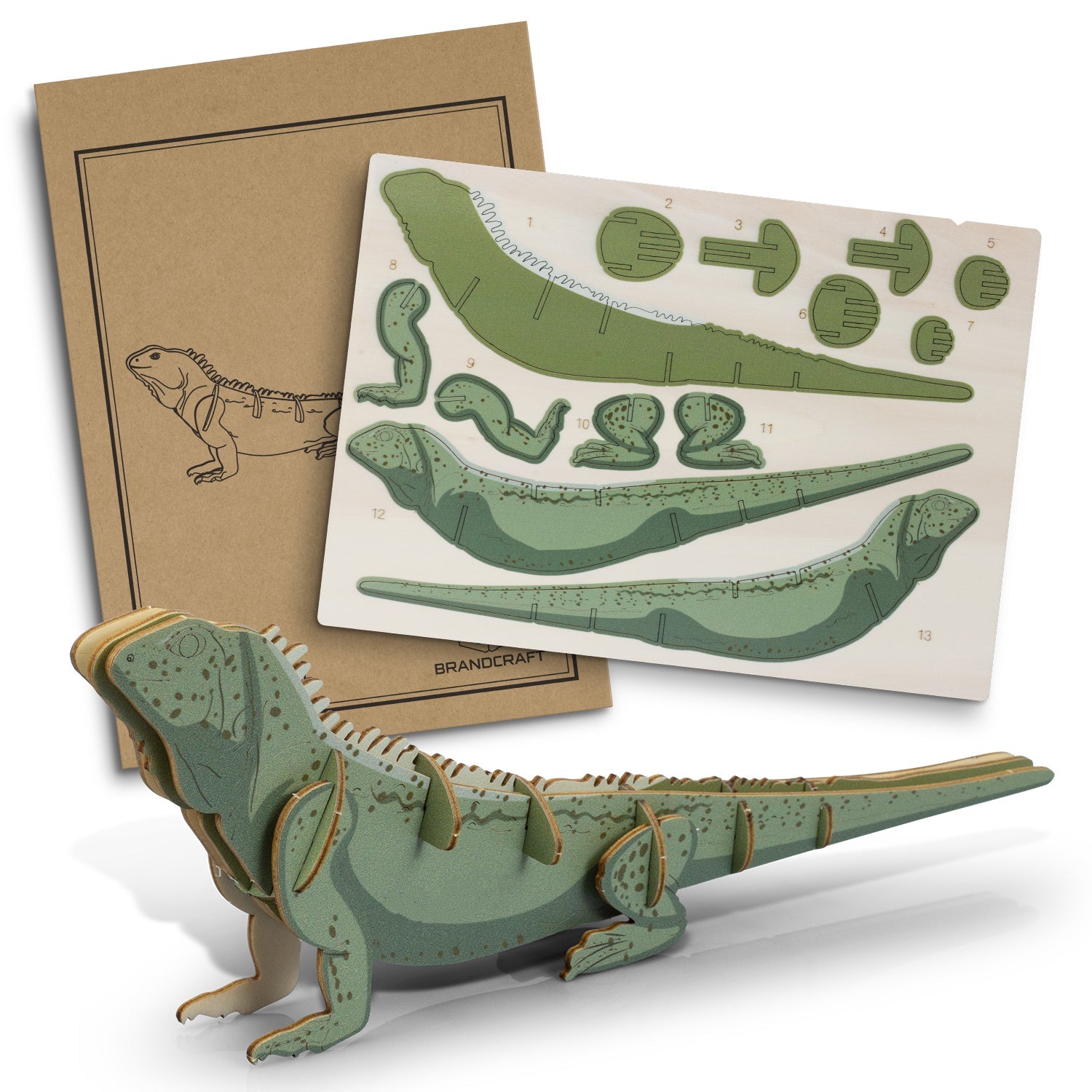 BRANDCRAFT Tuatara Wooden Model (2)