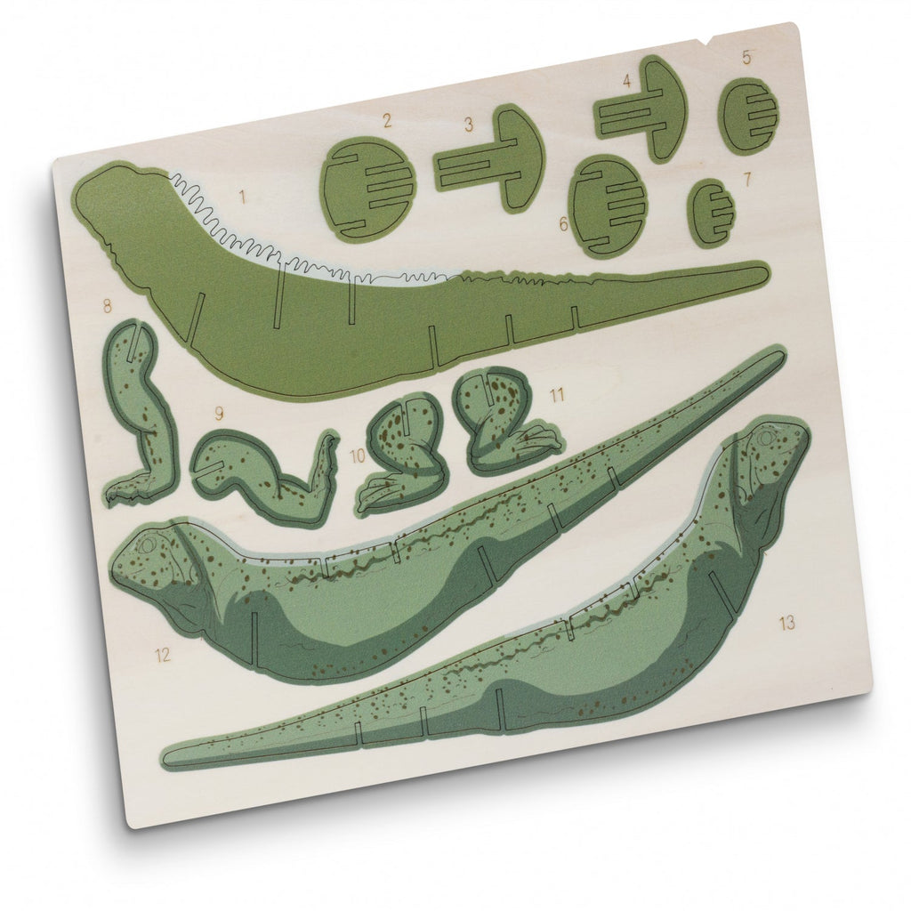 BRANDCRAFT Tuatara Wooden Model (3)