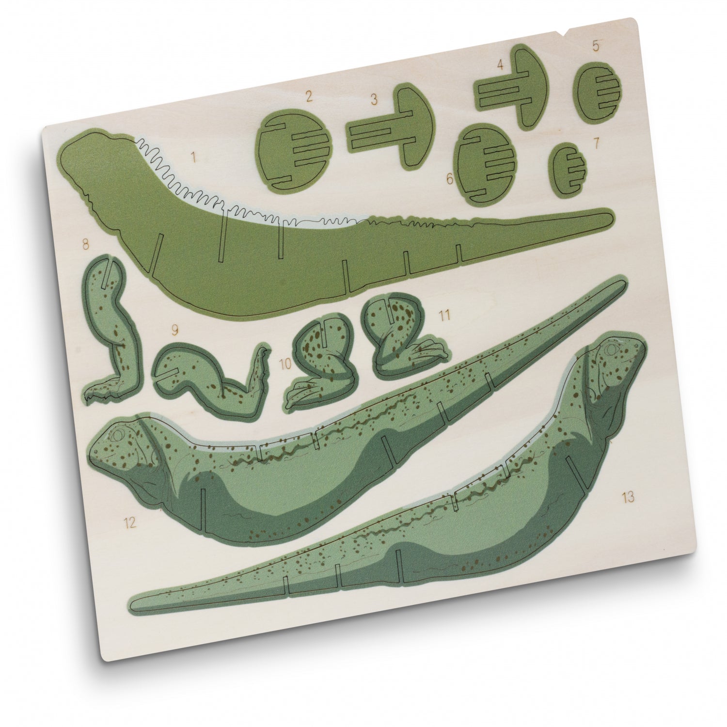 BRANDCRAFT Tuatara Wooden Model (3)