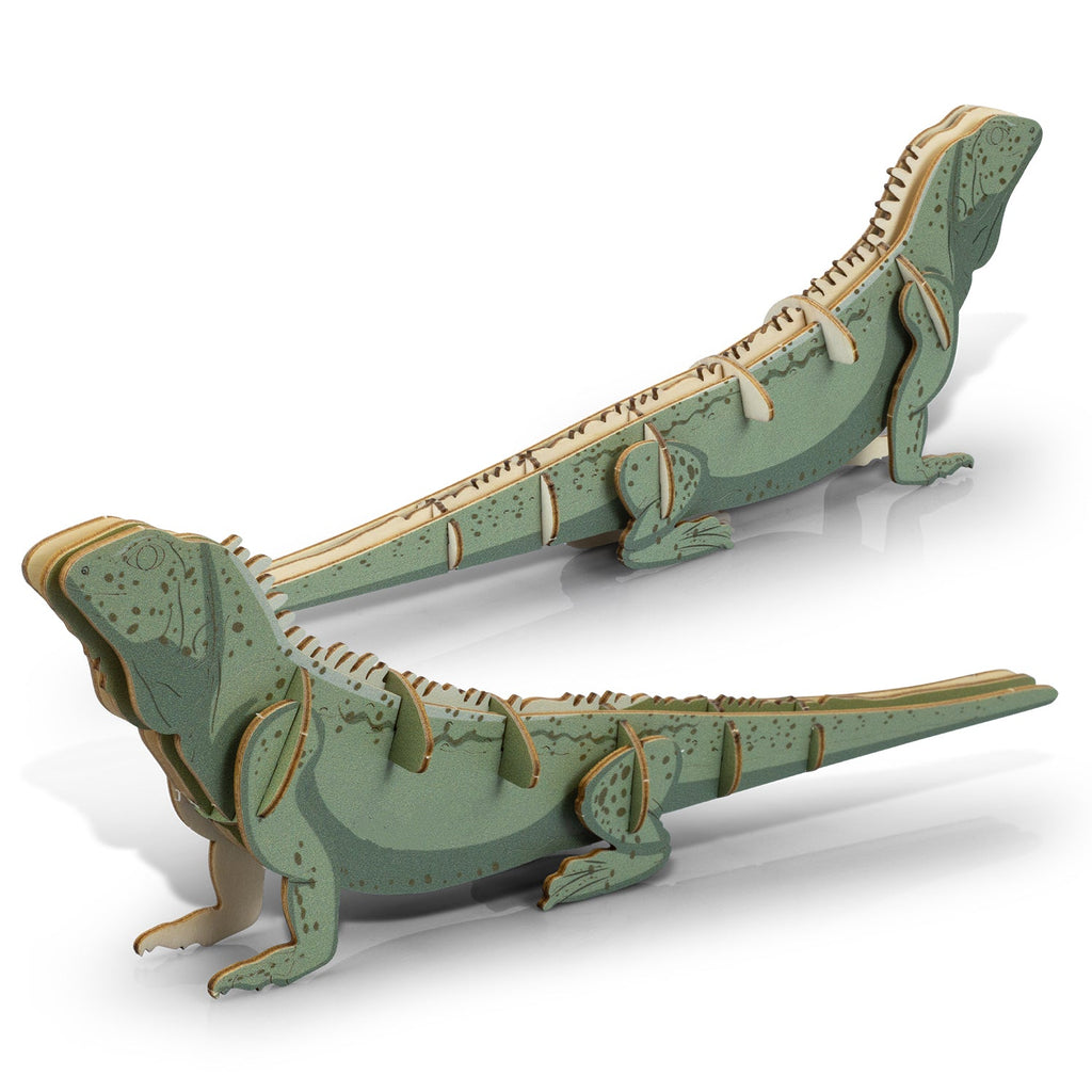 BRANDCRAFT Tuatara Wooden Model (5)