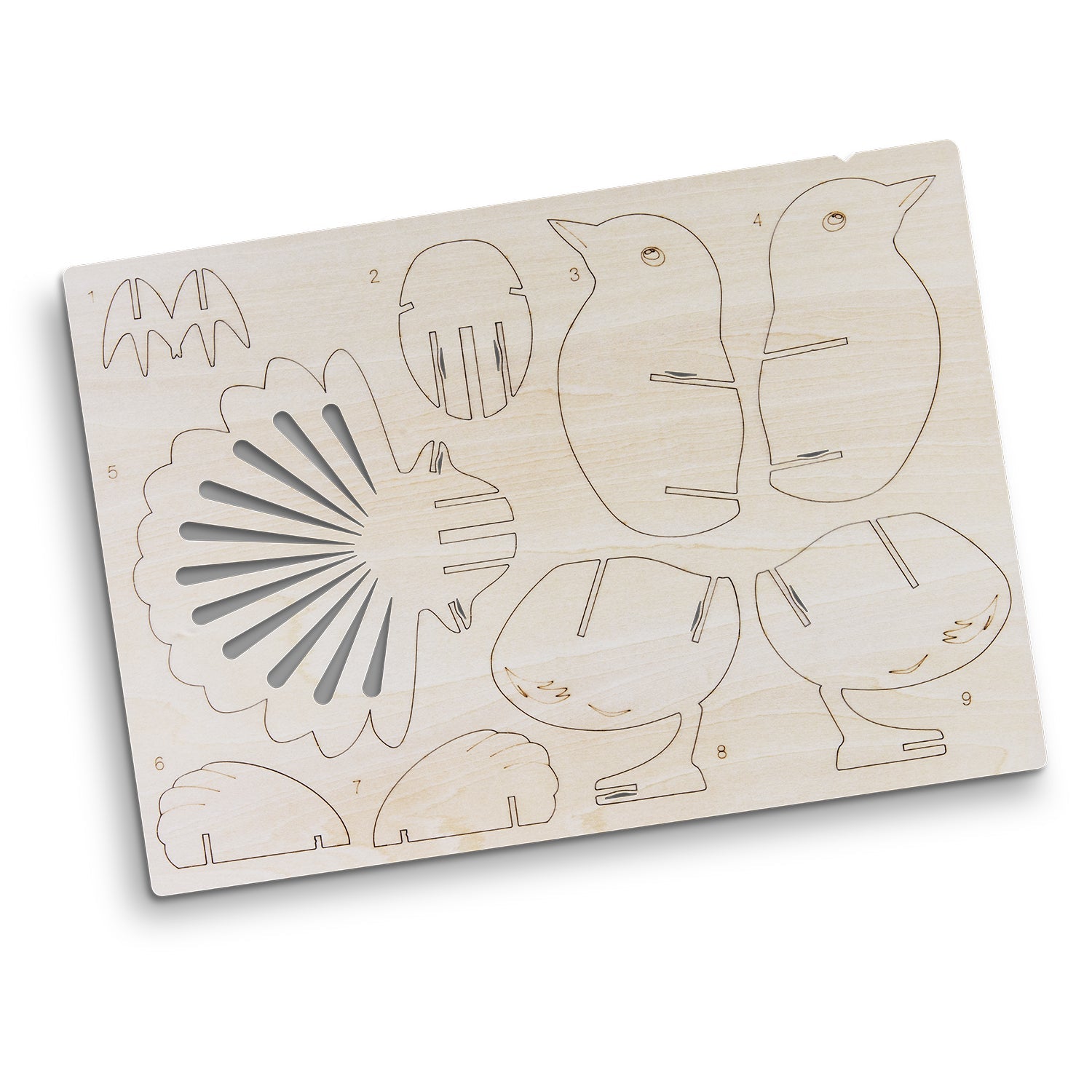 BRANDCRAFT Fantail Wooden Model (4)