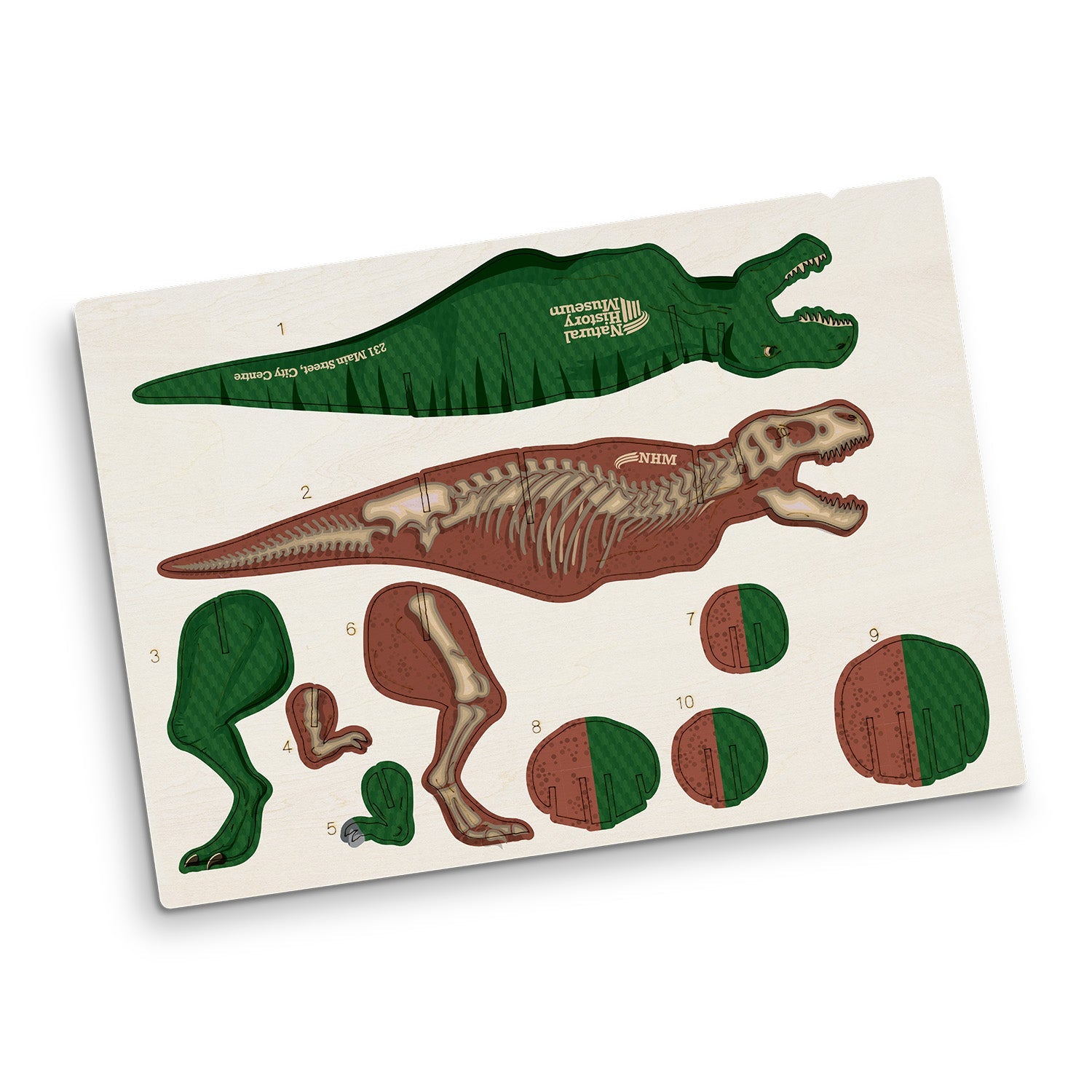 BRANDCRAFT Tyrannosaurus Rex Wooden Model (6)