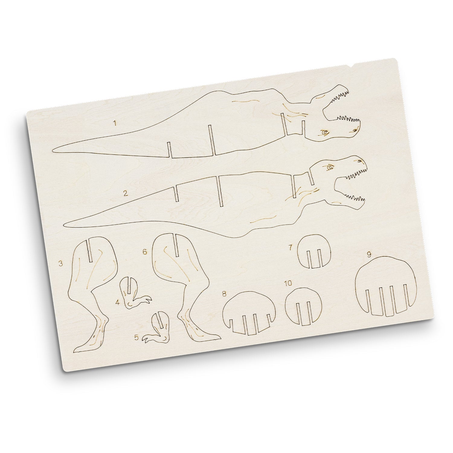 BRANDCRAFT Tyrannosaurus Rex Wooden Model (8)