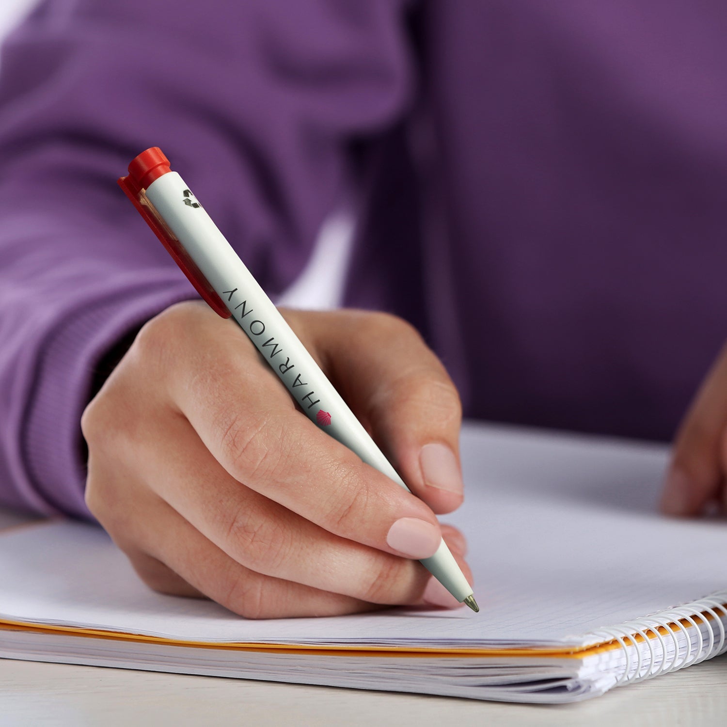 Recycled Plastic Pen (12)