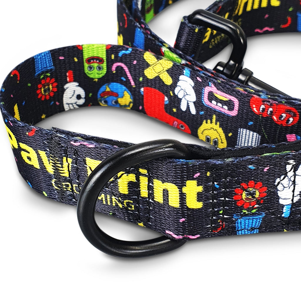 Amigo Dog Leash (4)