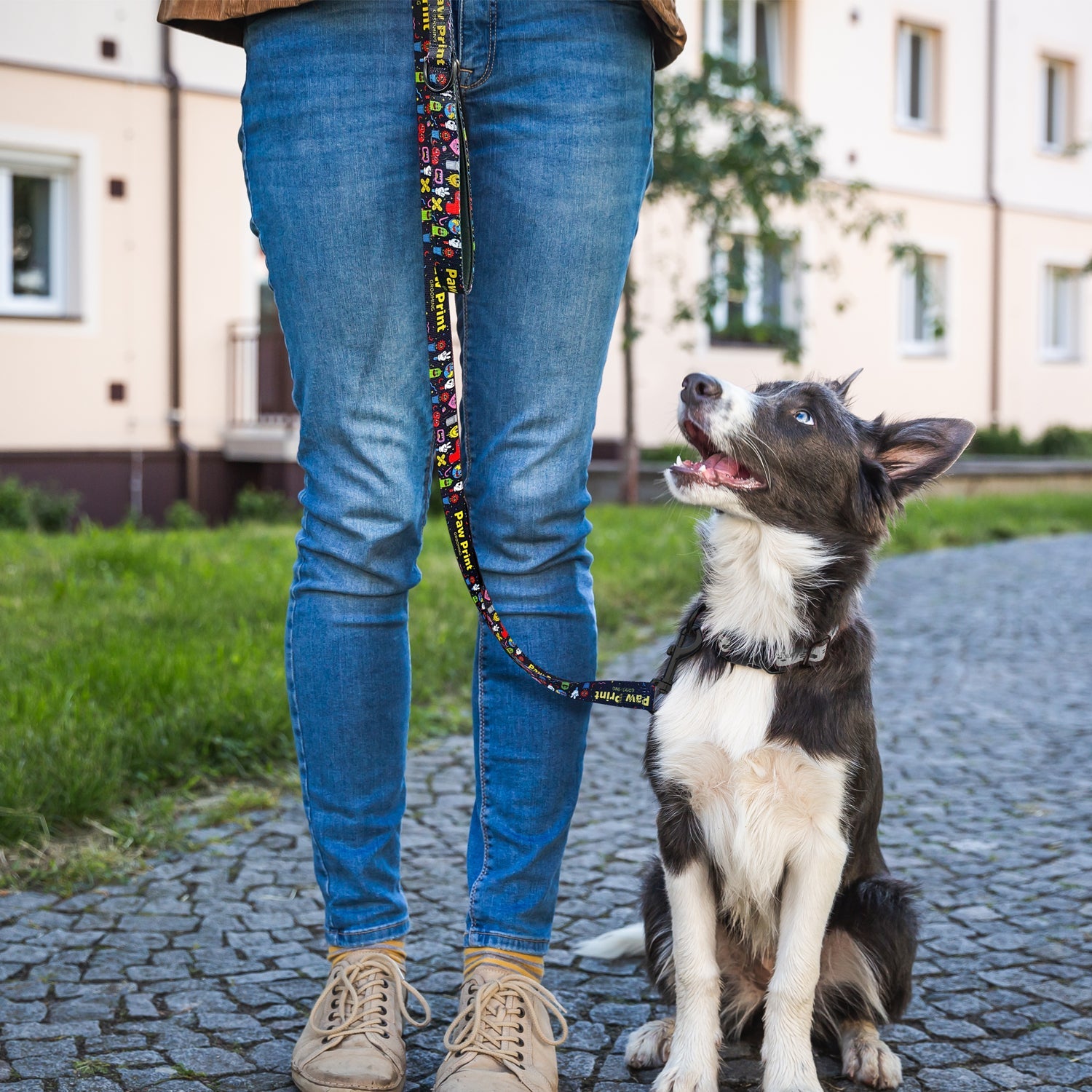 Amigo Dog Leash (5)