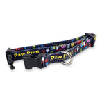 Amigo Dog Collar (3)