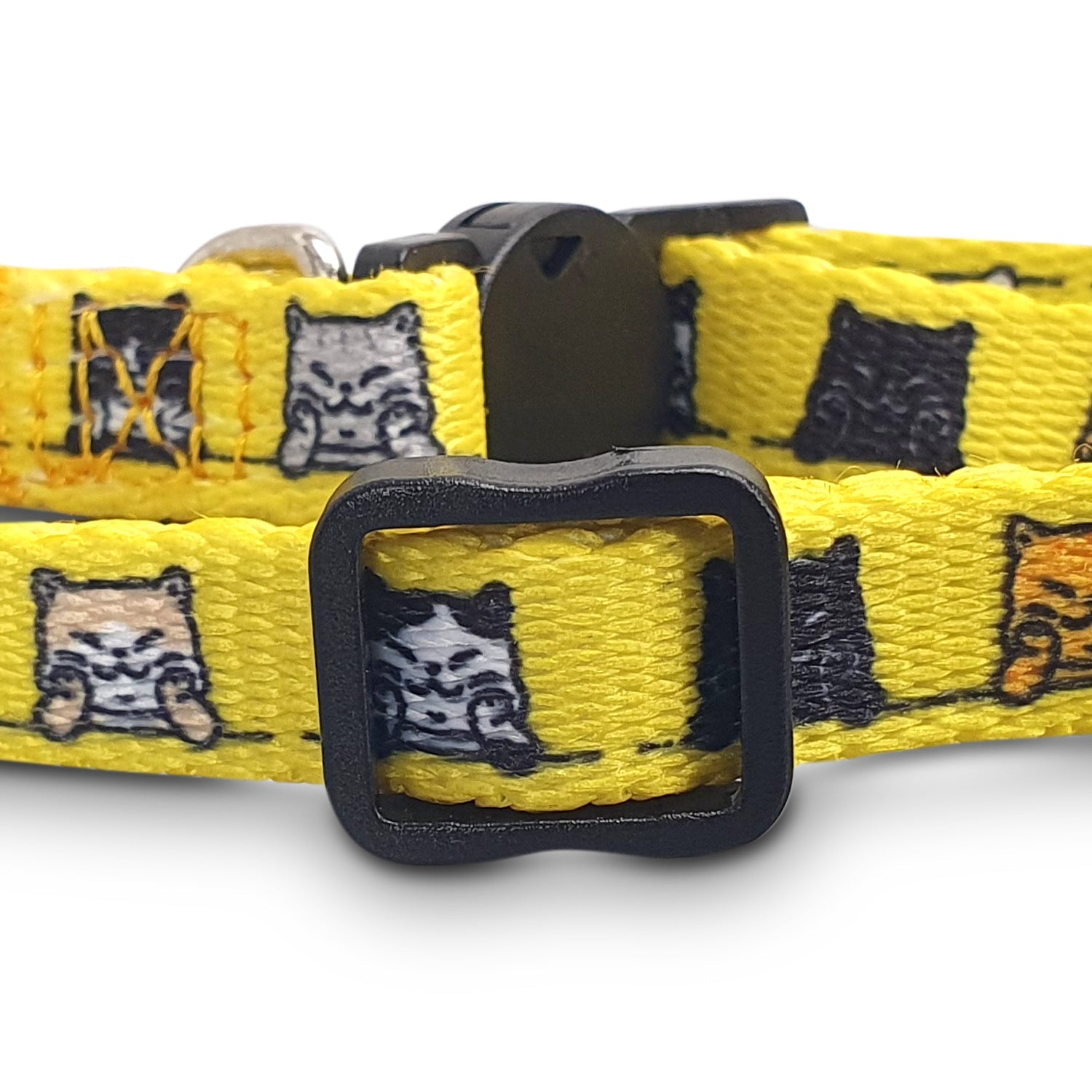 Amigo Cat Collar (4)