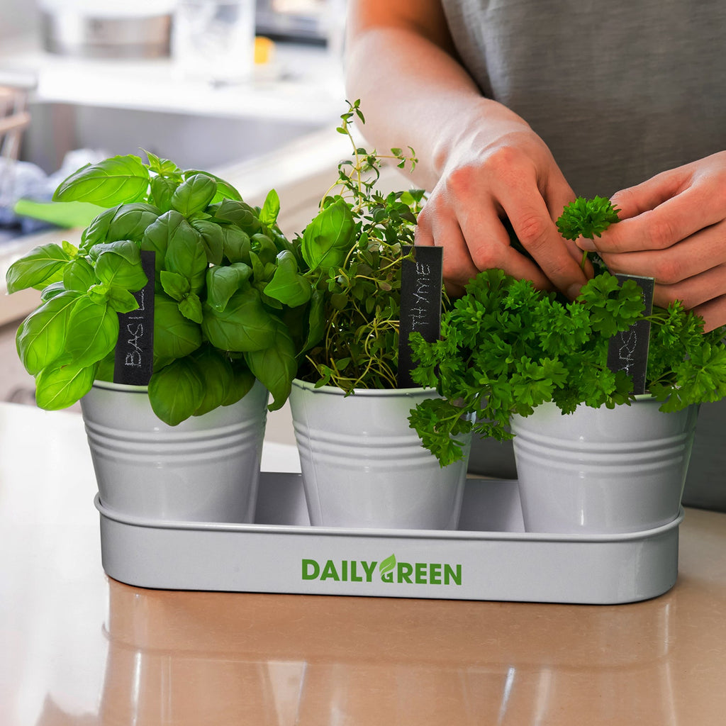 Keepsake Herb Planter (4)