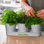 Keepsake Herb Planter (4)