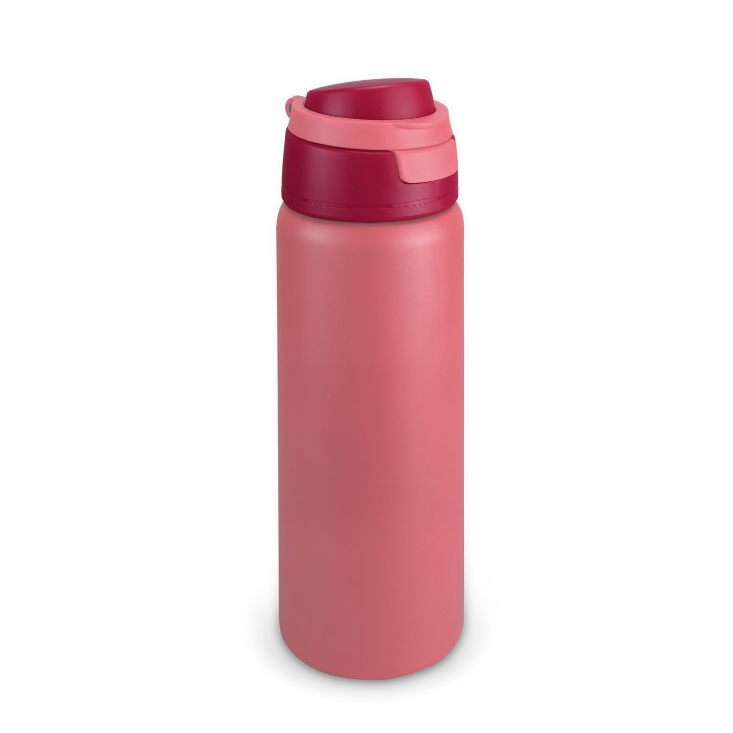 Spyro Vacuum Bottle (6)