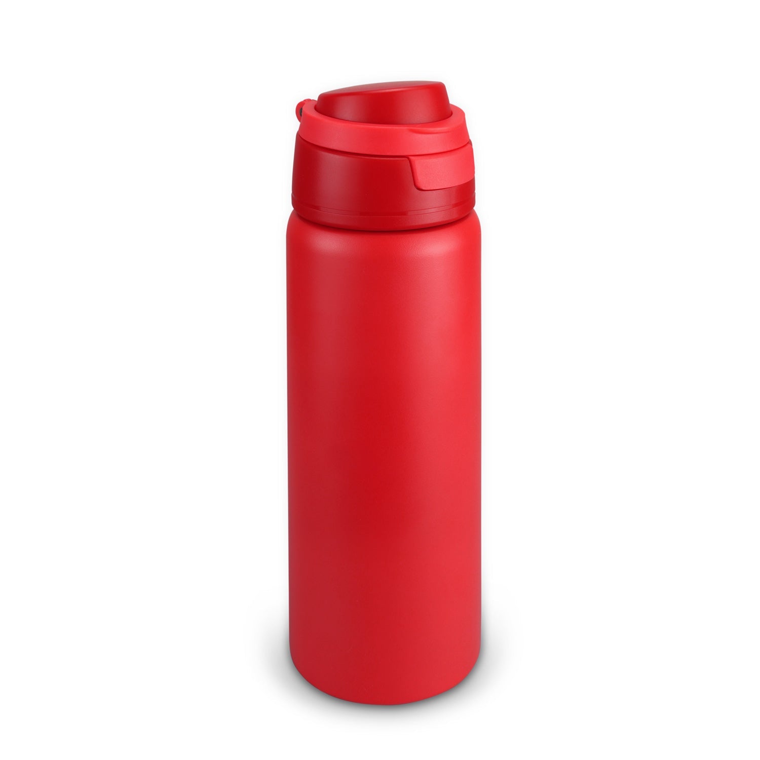 Spyro Vacuum Bottle (7)