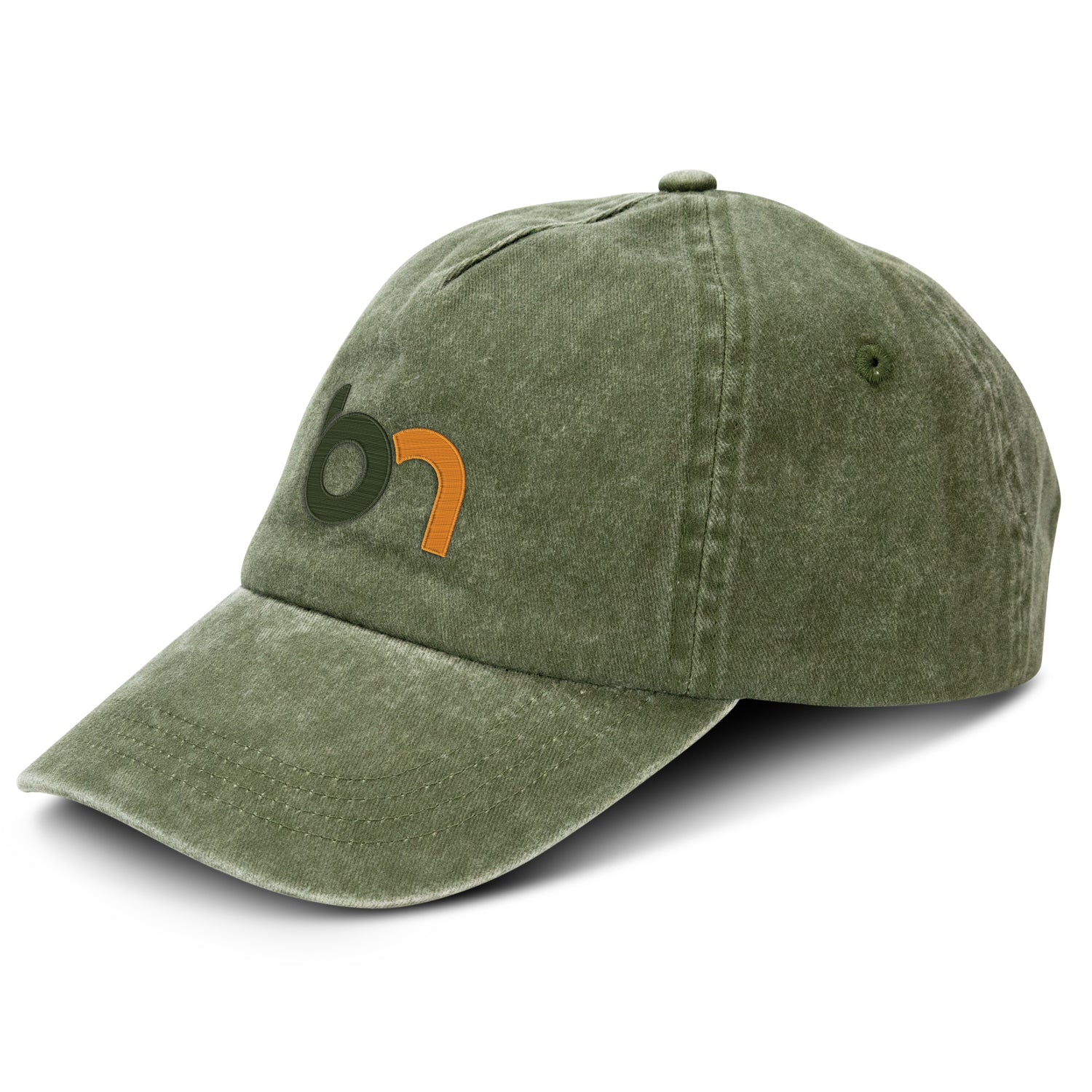 Vintage Washed Cap (18)
