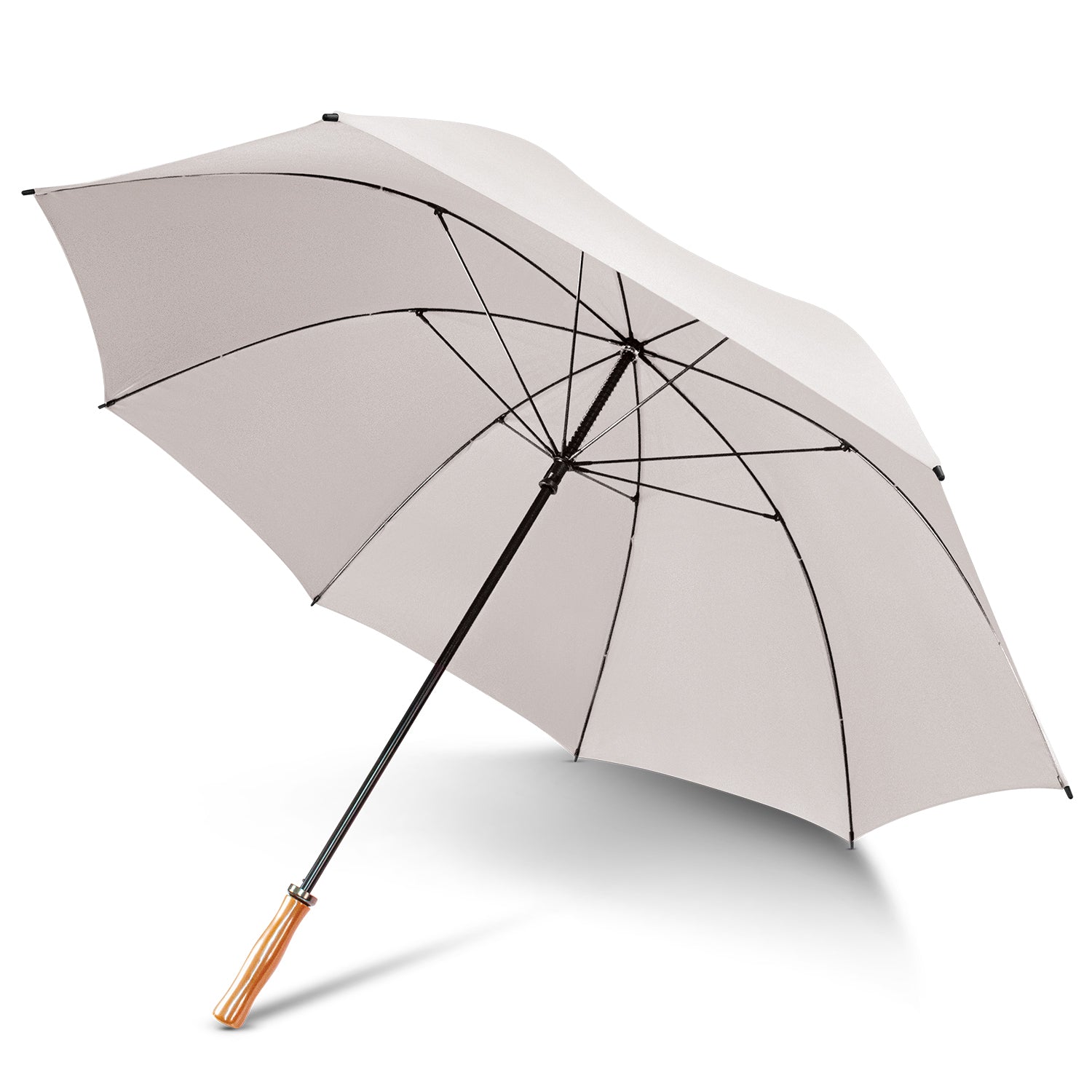 Pro Umbrella (2)