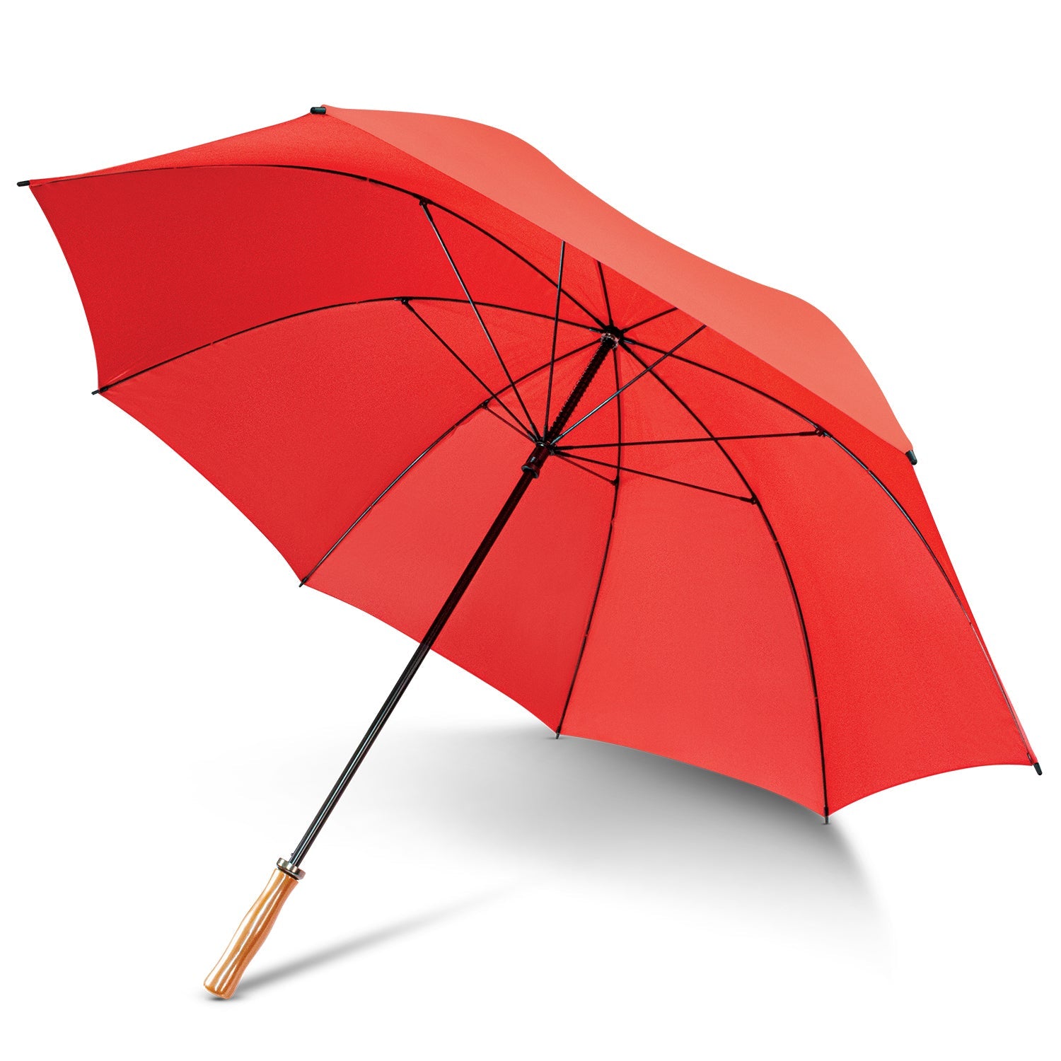 Pro Umbrella (3)