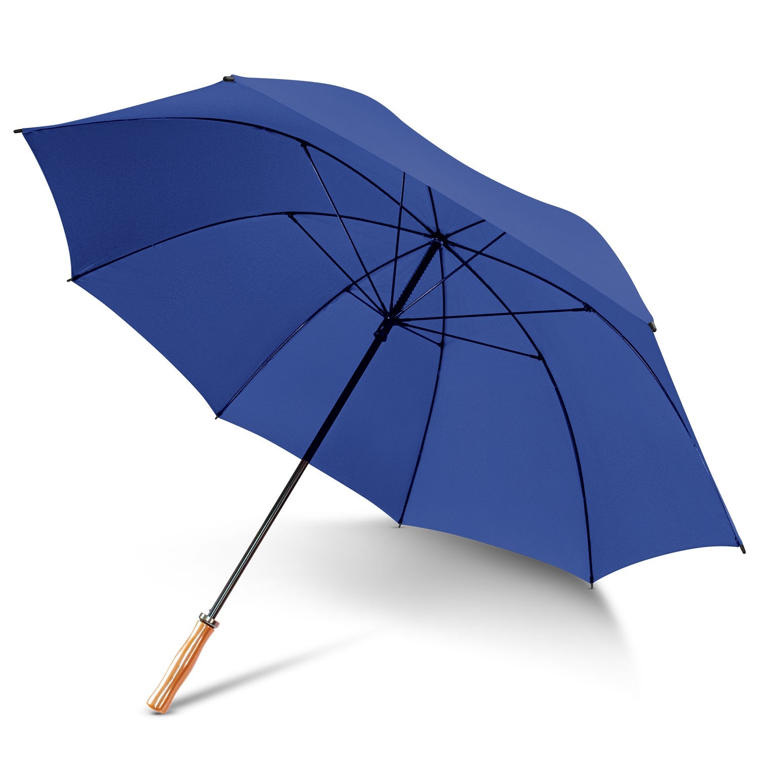 Pro Umbrella (5)